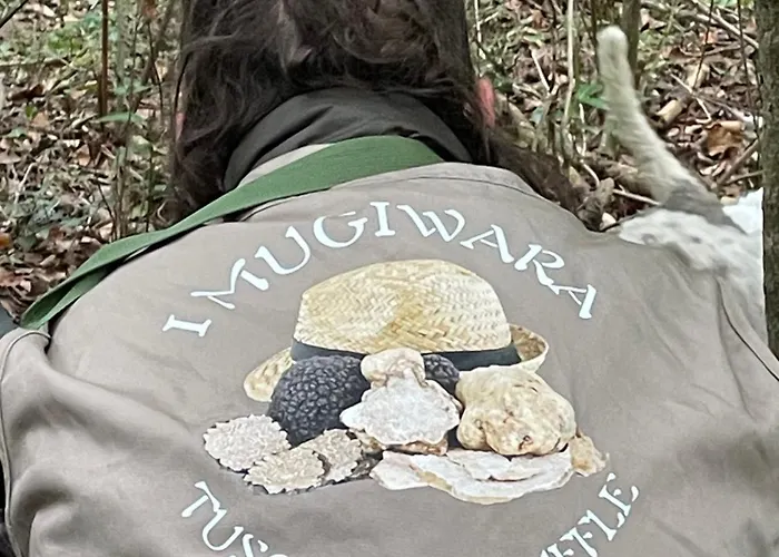 Casa Conte Martini * Palaia